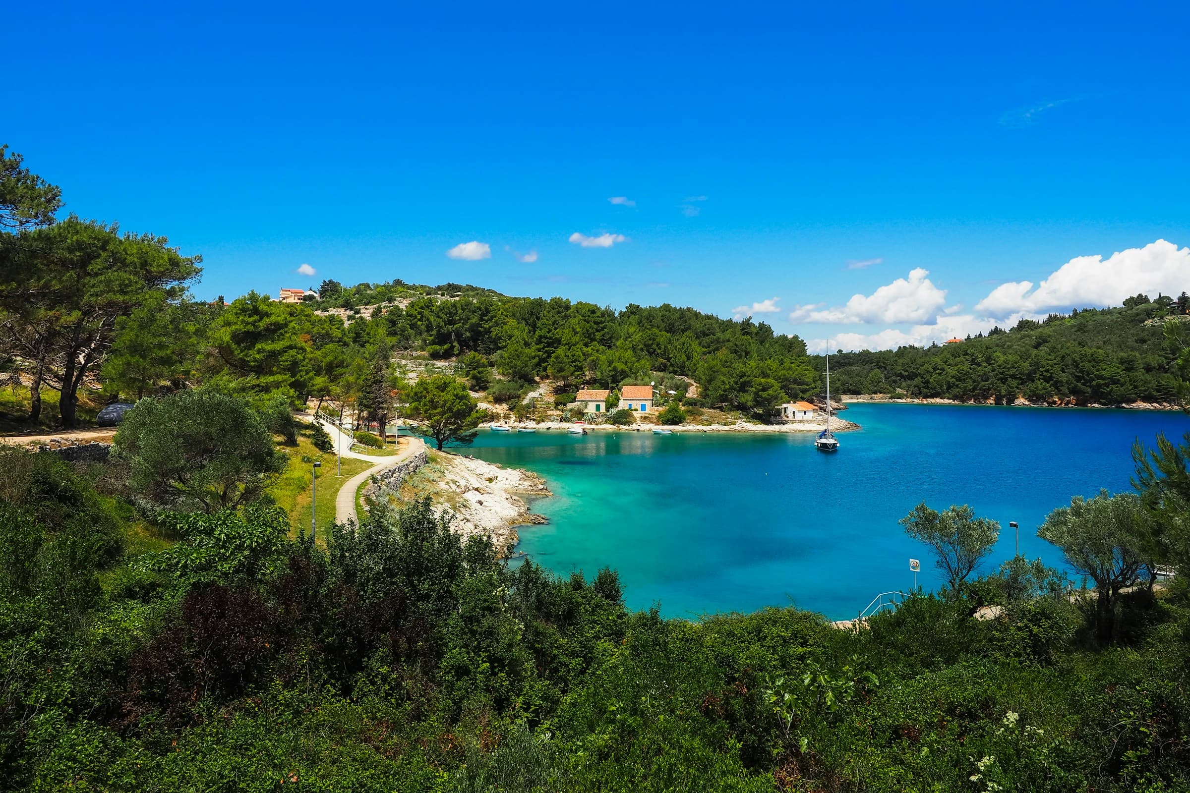 Losinj forest
